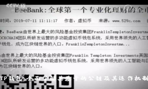 TP钱包：全面了解其基于的公链及其运作机制
