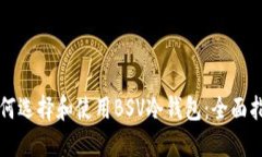 如何选择和使用BSV冷钱包：全面指南