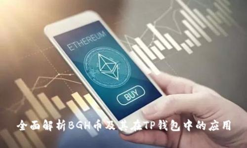全面解析BGH币及其在TP钱包中的应用