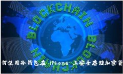 如何使用冷钱包在 iPhone 上安全存储加密货币