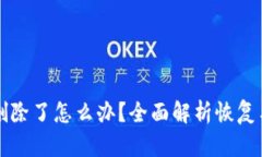 TB冷钱包删除了怎么办？全面解析恢复与安全保障