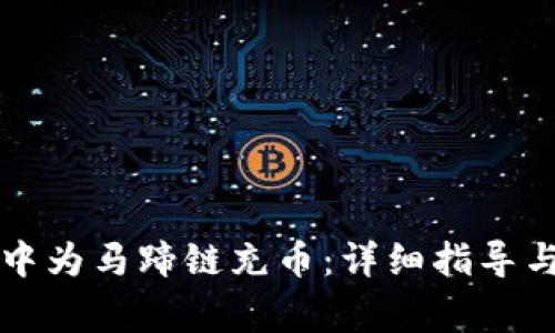 如何在TP钱包中为马蹄链充币：详细指导与常见问题解答