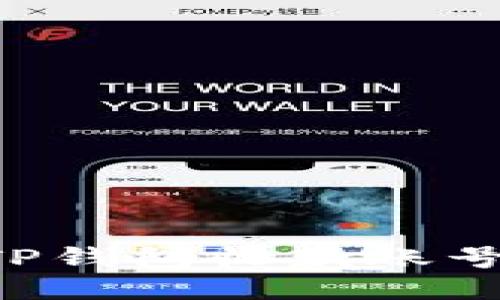 如何设置TP钱包收款账号：详细指南