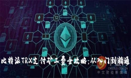 比特派TRX支付矿工费全攻略：从入门到精通