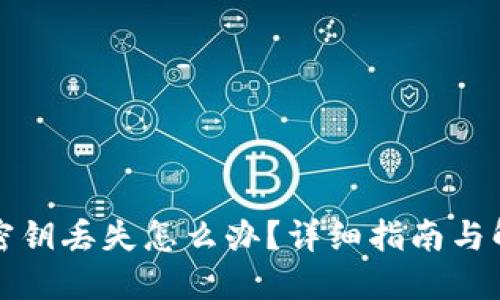 冷钱包密钥丢失怎么办？详细指南与解决方案