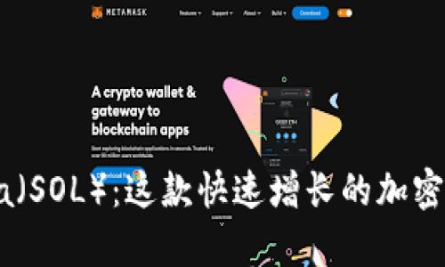 深入了解Solana（SOL）：这款快速增长的加密货币的全面分析