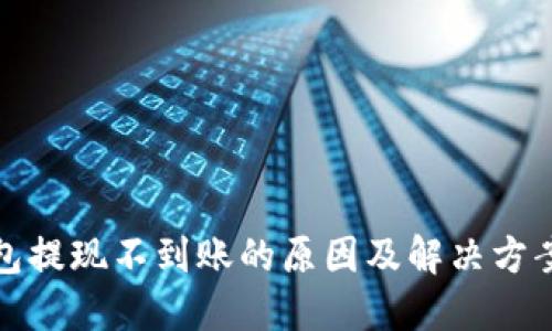 TP钱包提现不到账的原因及解决方案详解