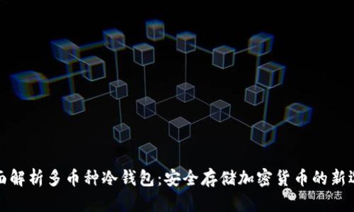 全面解析多币种冷钱包：安全存储加密货币的新选择