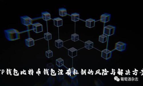 TP钱包比特币钱包没有私钥的风险与解决方案