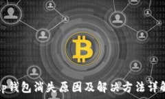  tp钱包消失原因及解决方法详解