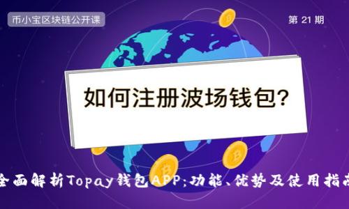 全面解析Topay钱包APP：功能、优势及使用指南